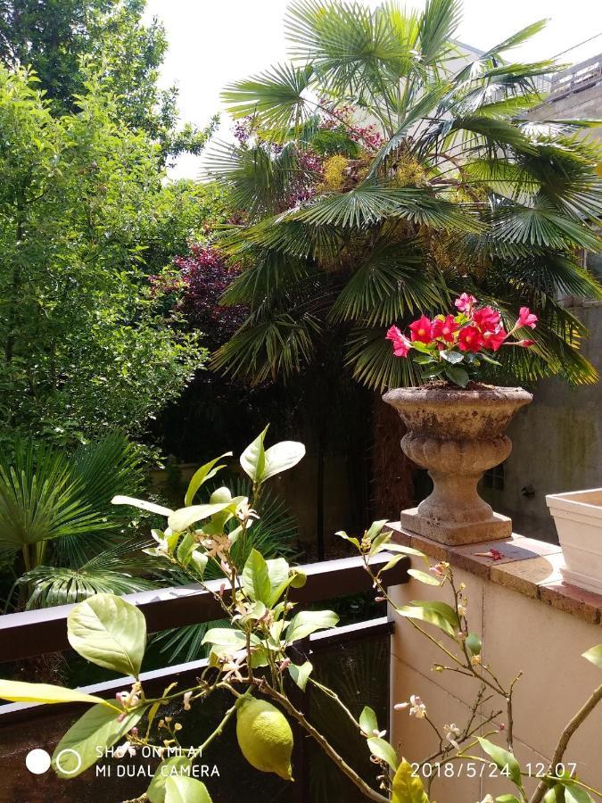 Appartement Charmant A Alfortville 30M² Terrasse Et Jardin Esterno foto